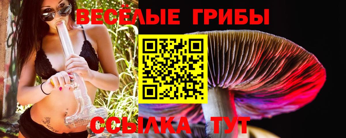 Егорьевск  Галлюциногенные грибы Psilocybe  Вход с VPN  Галлюциногенные грибы мицелий 